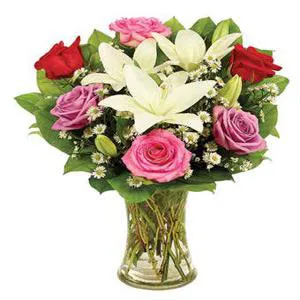 Colorful joy flowers - Flowers in vase